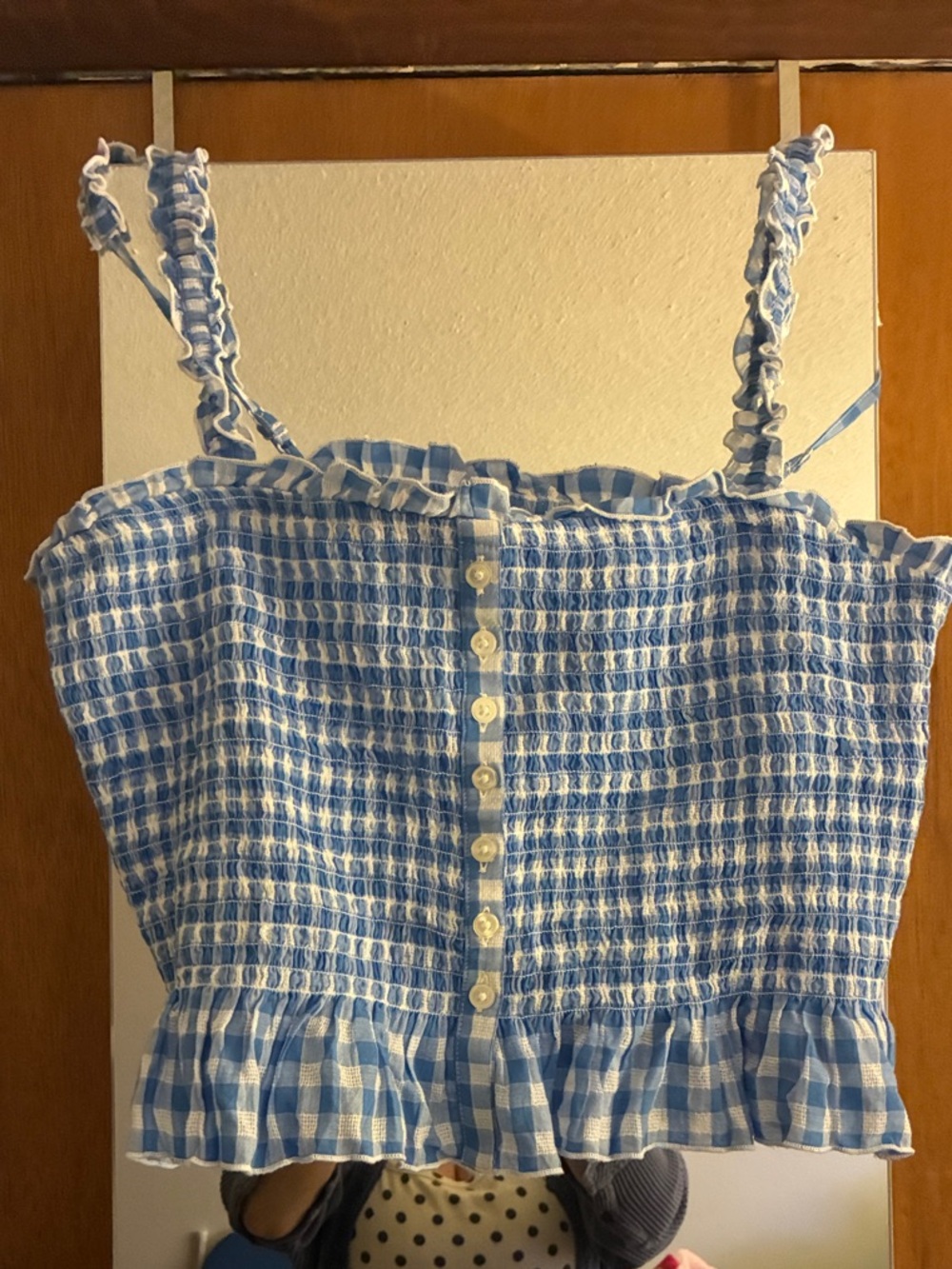 American Eagle Outfitters Blue and White Gingham Smocked Crop Top